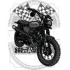 Swallow Scrambler // Illustration