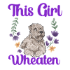 Irish Soft Coated Wheaten Terrier