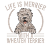 Irish Soft Coated Wheaten Terrier