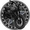 Swallow Scrambler // Illustration