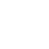 Nasenbär