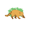 Nasenbär