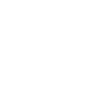 Nasenbär