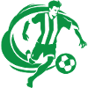 Fussball Fan grün