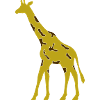 giraffe