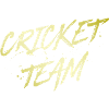 Cricket Team