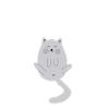 Cat Butthole