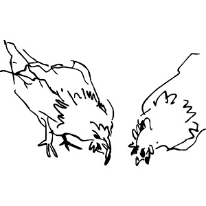 chicken 04