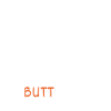 Cat Butthole