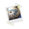 Cat Butthole