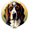 basset hound