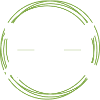 Pitbulls and houseplants