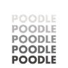 Poodle