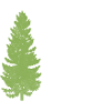Live Love Lead