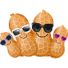 Nuts,Nut,Family,Family,Peanuts,Peanut