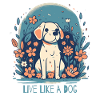 Live like a dog