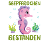 Seepferdchen bestanden 2023