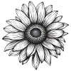 Sunflower flower motif