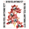 Do you feel anything yet