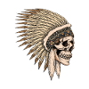 Native American Chief Skull