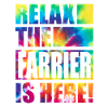 Farrier Funny Saying