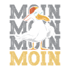 Moin Moin