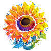 Sonnenblumen Blumenmotiv bunt
