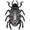 Egyptian beetle No. 2