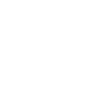 Year 99