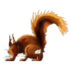 Eichhörnchen Flausch Herbst-Edition