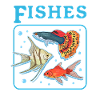 Aquarium Aquaristik Aquarianer Zierfisch Geschenk