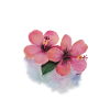 Hawaiian