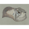 230804 Otter Kiss 3