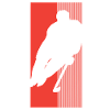 Eishockey Ice Hockey