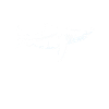 Megalodon Man - Megalodon Shark