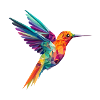 bunter Kolibri Vogel