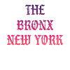 Le Bronx New York