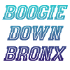 Boogie Down Bronx