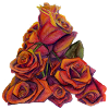 Reflorir