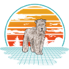 Irish Soft Coated Wheaten Terrier