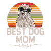 Irish Soft Coated Wheaten Terrier