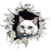 Cat Kitten Mietze Meow
