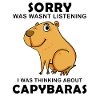 Capybara Wasserschwein Capybaras