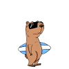 Capybara Wasserschwein Capybaras