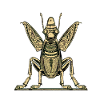 Egyptian grasshopper