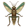 Egyptian grasshopper n°2