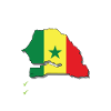 Sénégal Pays Voyage Drapeau Sénégalais
