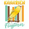 Canaries Whisperers Bird lovers Canaries
