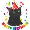 Jaded cat celebrating his birthday
