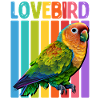 Lovebird papegojor älskar fåglar fågel vän